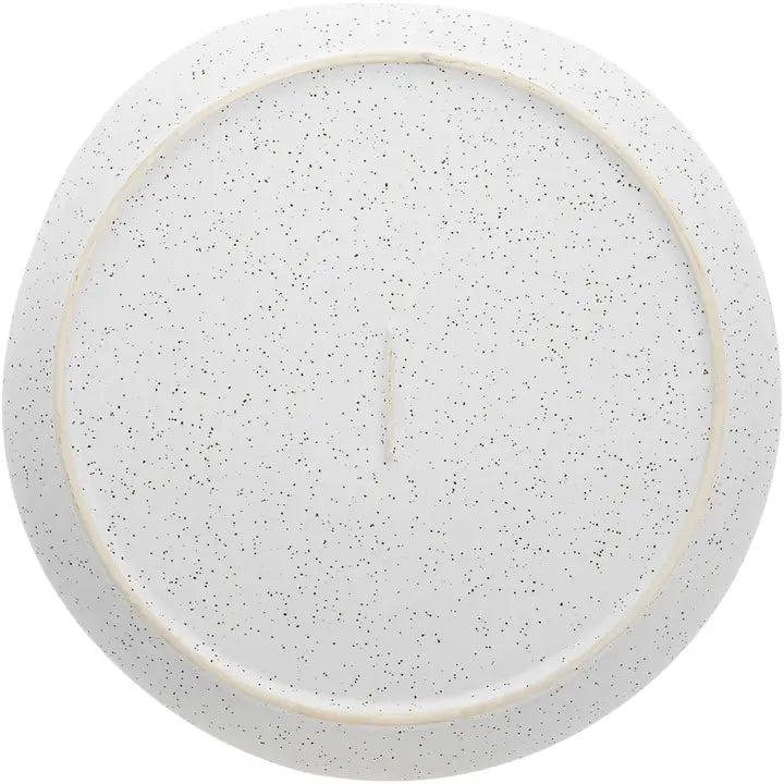 The Giving Plate - 10.5