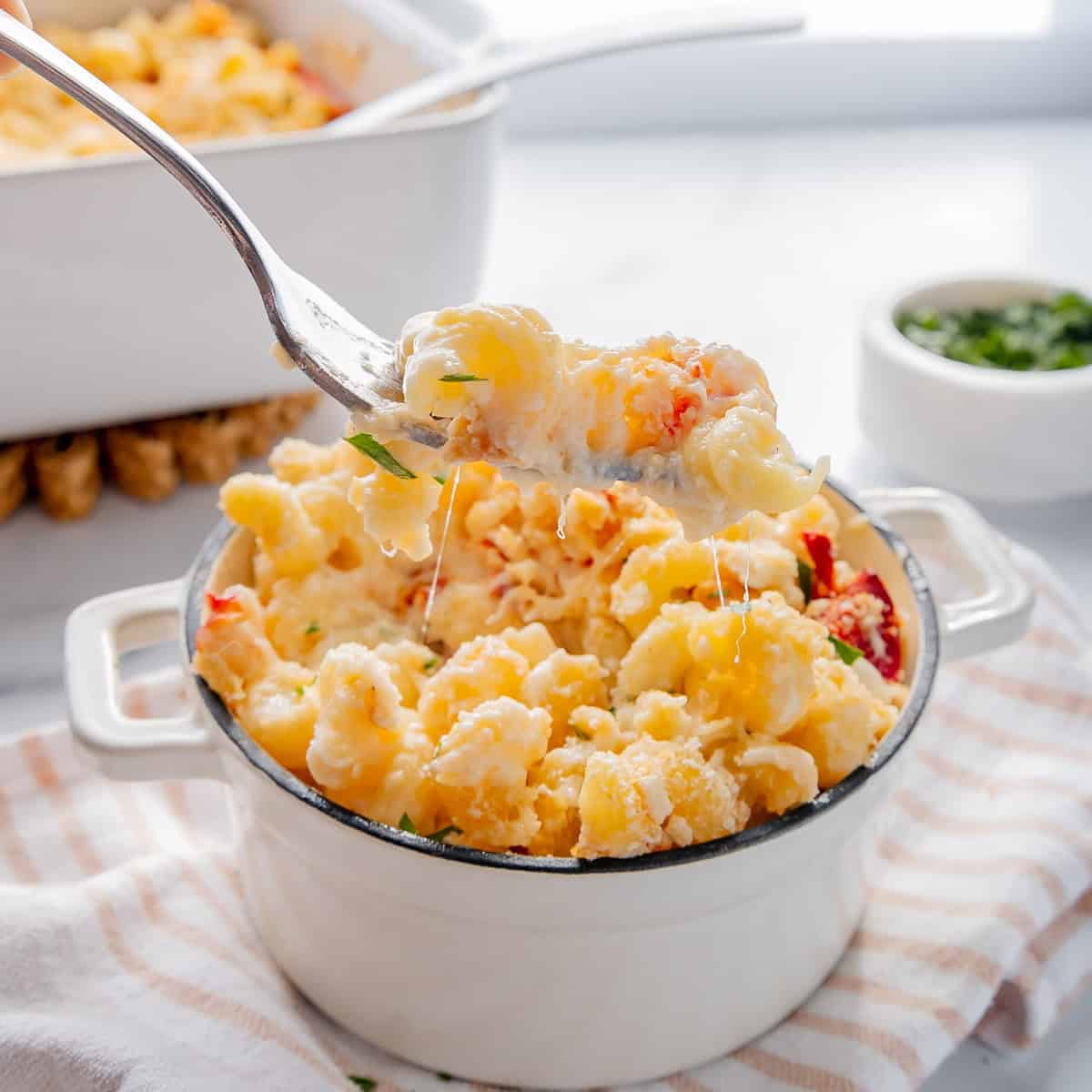 Lobster Mac & Cheese