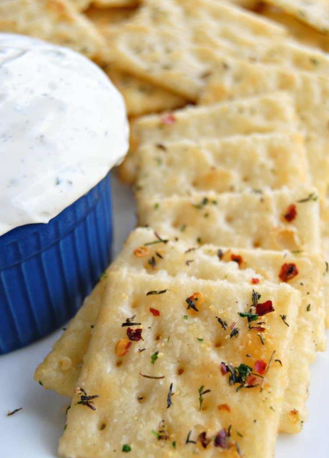 Snacker Crackers - Saltine Crackers Cajun